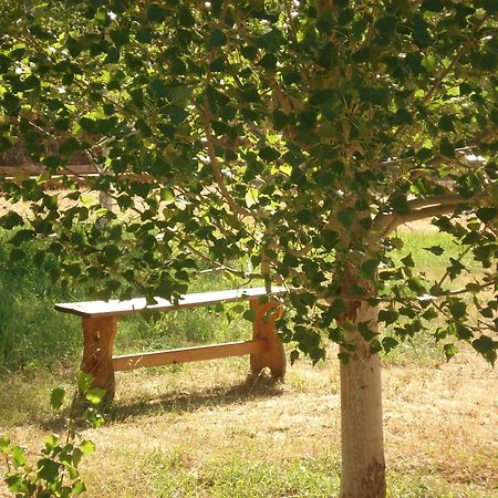 Masia El Carcaba - Moli Del Pont. Cornudella de Montsant Εξωτερικό φωτογραφία