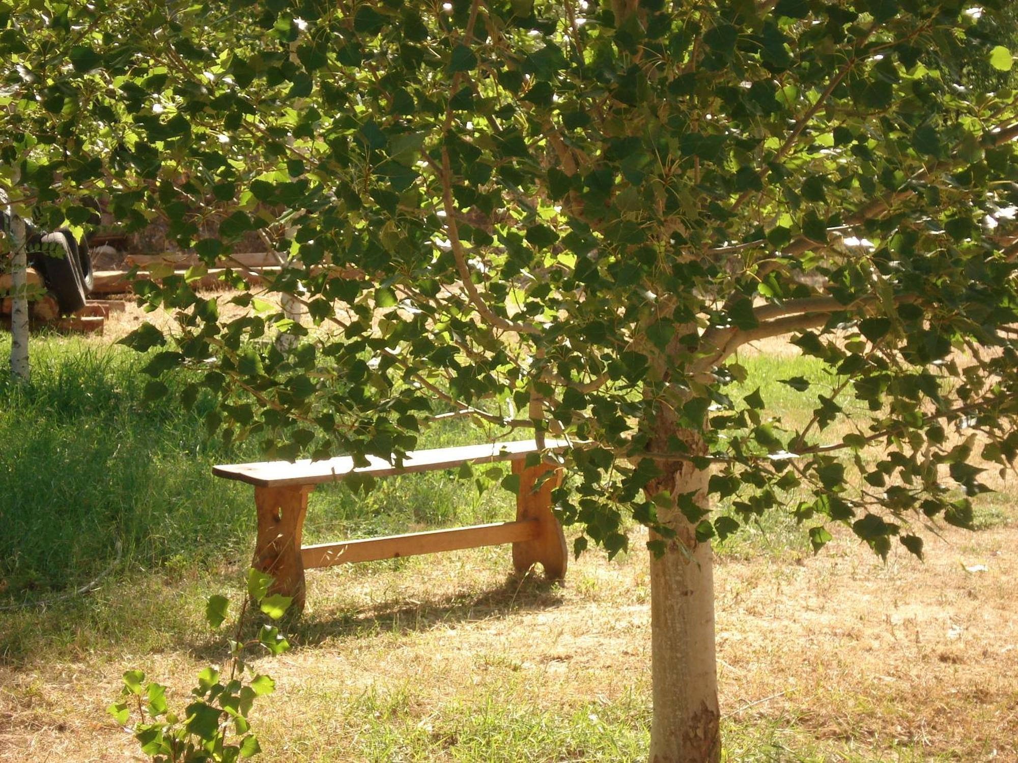 Masia El Carcaba - Moli Del Pont. Cornudella de Montsant Εξωτερικό φωτογραφία