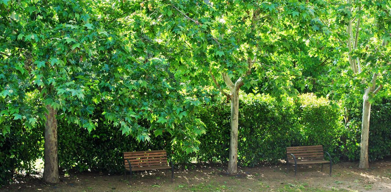 Masia El Carcaba - Moli Del Pont. Cornudella de Montsant Εξωτερικό φωτογραφία