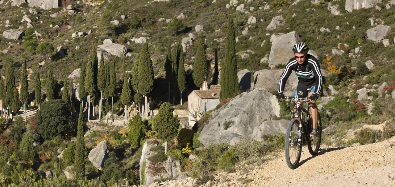 Masia El Carcaba - Moli Del Pont. Cornudella de Montsant Εξωτερικό φωτογραφία