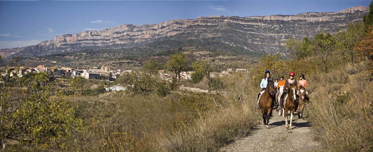 Masia El Carcaba - Moli Del Pont. Cornudella de Montsant Εξωτερικό φωτογραφία